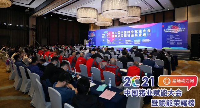 正康生?Plus榮獲“2021年度匠心飼料添加劑”！